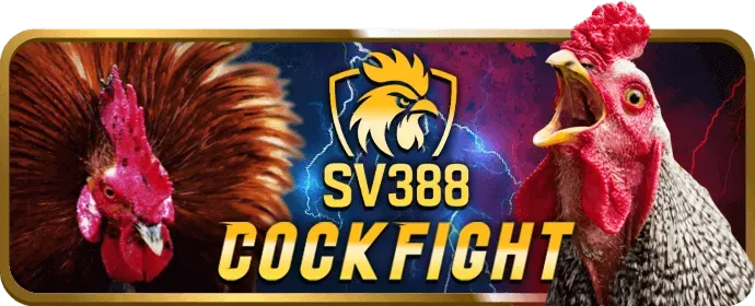 Video slot hiện đại ok9aa App